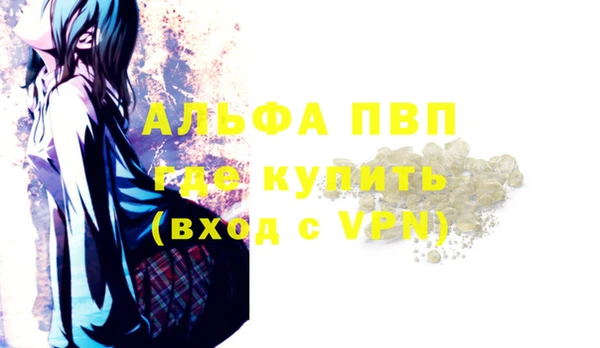 индика Покачи
