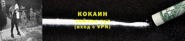 индика Покачи