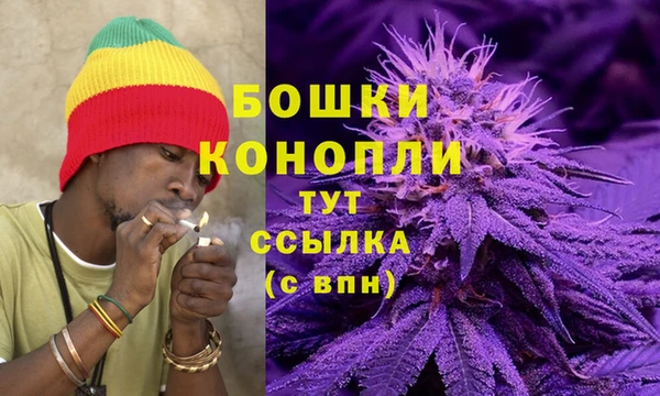 индика Покачи